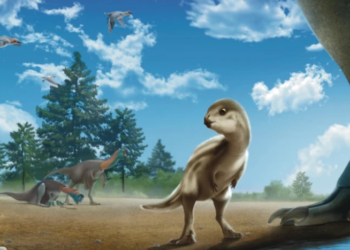 სამხრეთ კორეაში დინოზავრის აქამდე უცნობი სახეობა აღმოაჩინეს