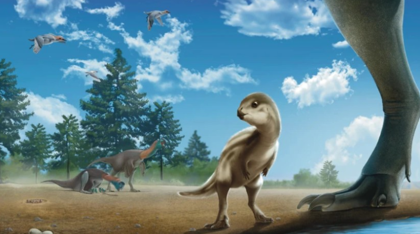 სამხრეთ კორეაში დინოზავრის აქამდე უცნობი სახეობა აღმოაჩინეს