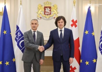 ირაკლი კობახიძე ეუთო-ს საპარლამენტო ასამბლეის პრეზიდენტს შეხვდა