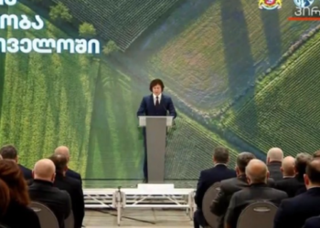 live – სოფლის მეურნეობის განვითარების ინდექსის პრეზენტაცია