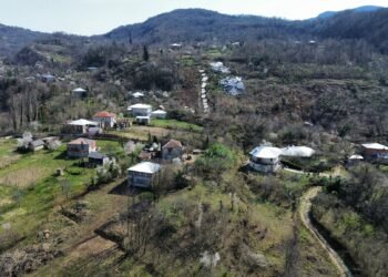 სტიქია სოფელ კურსებში – ფოტორეპორტაჟი