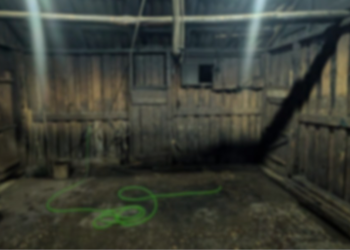 იმერეთში ცხოველთა არალეგალური სასაკლაოები გამოავლინეს