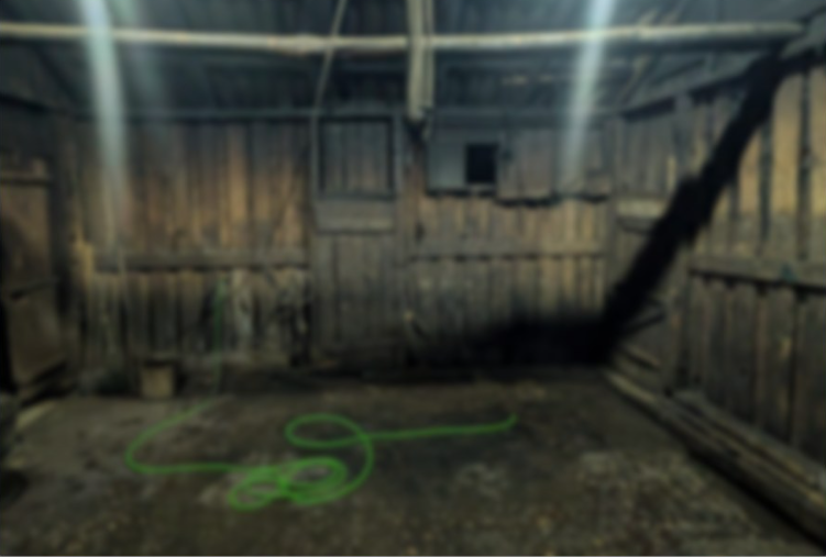 იმერეთში ცხოველთა არალეგალური სასაკლაოები გამოავლინეს