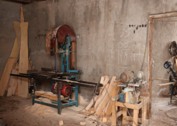 იმერეთში 17 კუბურ მეტრამდე უკანონოდ მოპოვებული მერქანი ამოიღეს