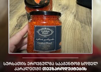 აღმოჩენილია თევზპროდუქტების არალეგალური საწარმო