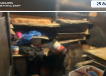 არალეგალური ყველის შესაბოლი საწარმო გამოვლინდა