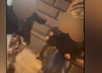 დაკავებულია სხვადასხვა ნეონაცისტური დაჯგუფებისა და ფაშისტური იდეოლოგიის მხარდამჭერი 13 პირი-შსს