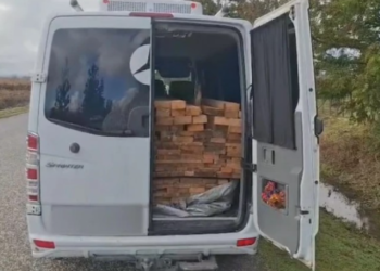 სამეგრელოში უკანონო ხე-ტყის შენიღბულად ტრანსპორტირების ფაქტები გამოვლინდა