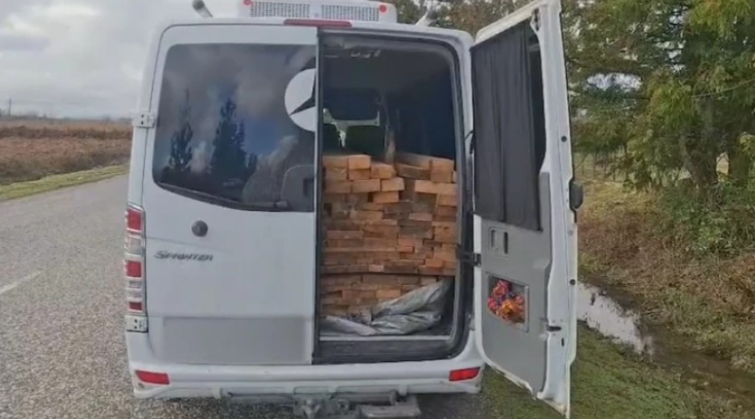 სამეგრელოში უკანონო ხე-ტყის შენიღბულად ტრანსპორტირების ფაქტები გამოვლინდა