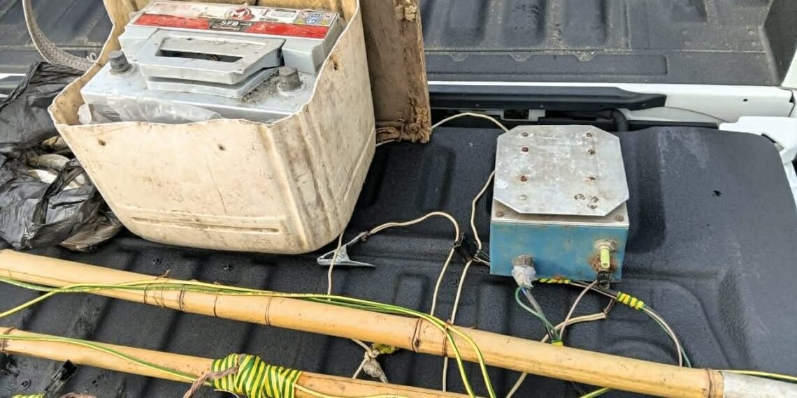 სამეგრელოში ბრაკონიერობის ფაქტები გამოვლინდა