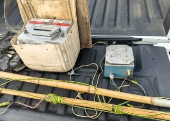 სამეგრელოში ბრაკონიერობის ფაქტები გამოვლინდა