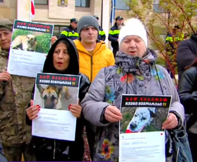 “მიუსაფარი ცხოველების ხოცვას ვერ დააკანონებთ”- თბილისში აქცია მიმდინარეობს