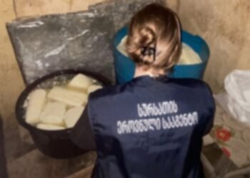 იმერეთში ყველის არარეგისტრირებული საწარმოები გამოვლინდა