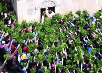 5 აპრილს ბზობაა – რა უნდა იცოდეს მორწმუნემ ამ დღის შესახებ