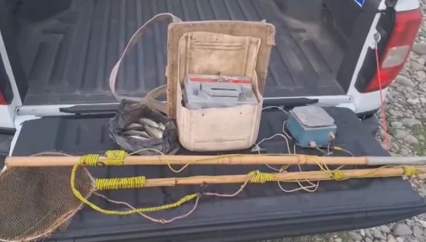 სამეგრელოში ბრაკონიერობის ფაქტები გამოვლინდა