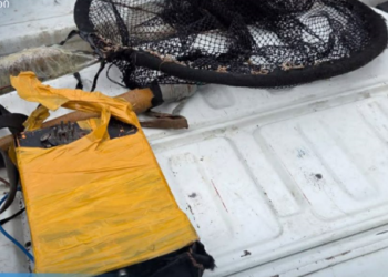 იმერეთში ბრაკონიერობის ფაქტი გამოვლინდა