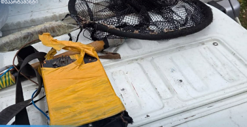 იმერეთში ბრაკონიერობის ფაქტი გამოვლინდა