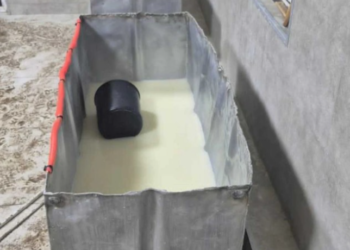 თერჯოლაში ყველის არალეგალური საწარმო გამოვლინდა