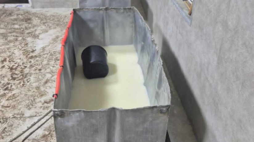 თერჯოლაში ყველის არალეგალური საწარმო გამოვლინდა