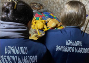 წყალტუბოსა და რეგიონებში ფრინველთა არალეგალური სასაკლაოები გამოვლინდა