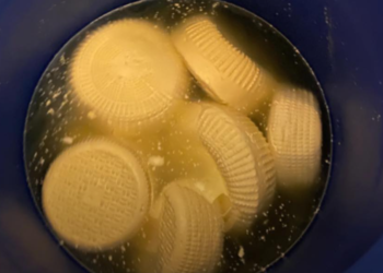 ბაღდათში ყველის არალეგალური საწარმო გამოავლინდა