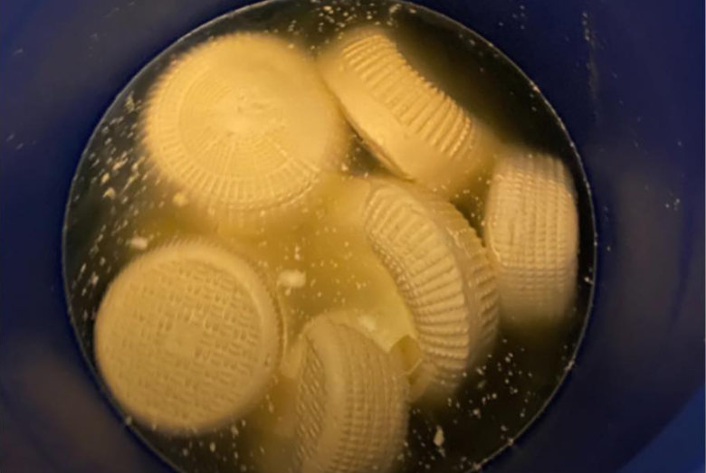 ბაღდათში ყველის არალეგალური საწარმო გამოავლინდა