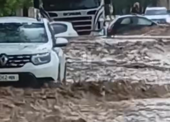 სენკში სტიქიას ებრძვიან