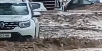 სენკში სტიქიას ებრძვიან