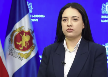 სიძულვილის ენის მონიტორინგის სამმართველოს უფროსად თამთა ქიმბარიშვილი დაინიშნა