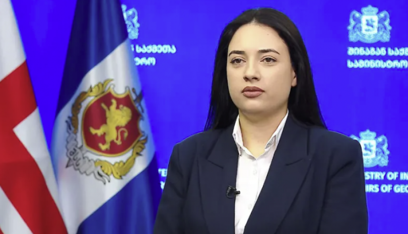 სიძულვილის ენის მონიტორინგის სამმართველოს უფროსად თამთა ქიმბარიშვილი დაინიშნა