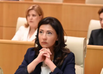 “ესაა „ქართული ოცნების“ ჩინური ვერსიის სახე”- ტატა ხვედელიანი პრემიერს