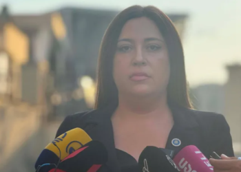 ფარულ ჩანაწერში ნია იმნაძე და მამამისი განიხილავდნენ, როგორ ჩაიდინა ალექსანდრე გაბაშვილმა დანაშაული – პროკურორი