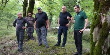 იმერეთის რეგიონში ტყის აღდგენის ღონისძიებები დამატებით 94 ჰექტარზე განხორციელდება